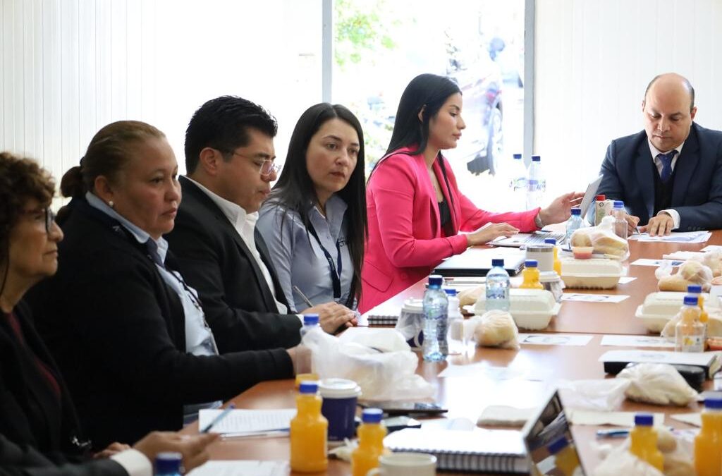 Segunda Reunión de Trabajo de la Mesa Técnica Interinstitucional -MAIMI-